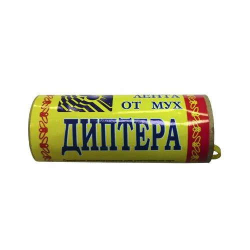 45600